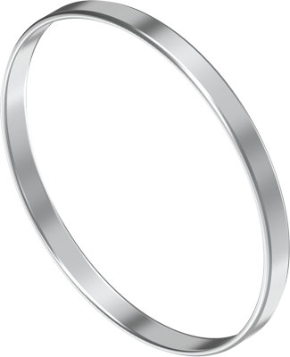 10633093 FESTO CENTREERRING EAML-48-4-48 558031