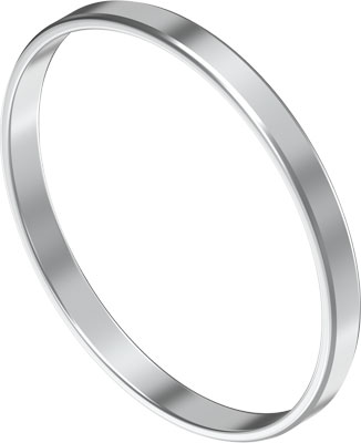 10633094 FESTO CENTREERRING EAML-62-5,8-62 558032