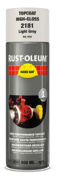 10027496 RUST-OLEUM SPUITBUS LICHTGRIJS RAL 7035 2181