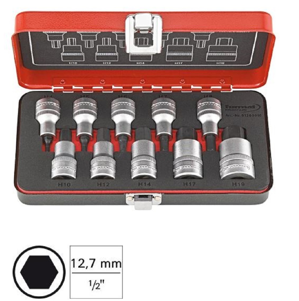 10387710 FORMAT INBUSDOPSLEUTELSET 1/2 61260010