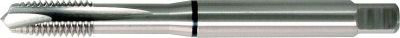 FORMAT mach.tap Metr.doorl.HSSE 1722
