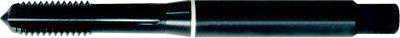 FORMAT machinetap drlp.&blind gat DIN371-376 GG