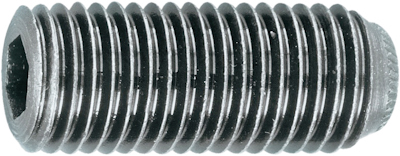 10498869 FASTEN BZK STELSCHROEF 45H DIN 916 M2X2