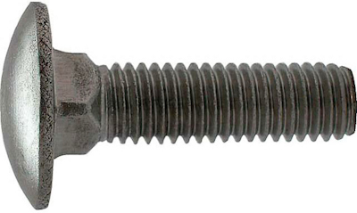 10838796 FASTEN RVS A2 SLOTBOUT DIN 603 M5X12