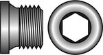 10015079 FASTEN BZK KRAAGPLUG CIL.DIN 908 G PIJPDR 44774