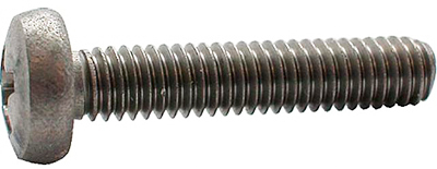 10665001 FASTEN DIN 7985Z 4.8 EVZ BCKSCHR PZ M3X6