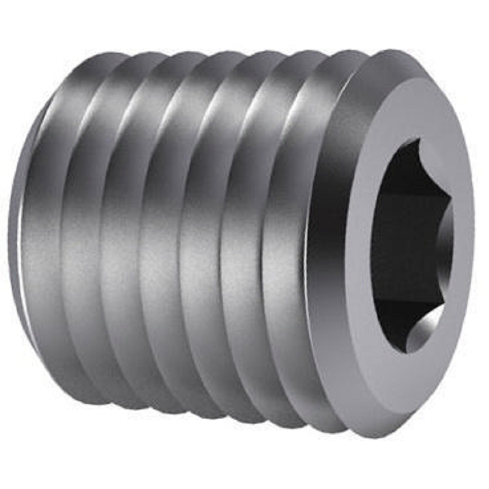 10015099 FASTEN BZK AFDICHTPLUG CIL.DIN 906 M8X1,00