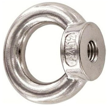 FASTEN D582 RVS A2 oogmoer gesmeed M