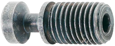 Spanschroef T 08 M 6x16,7mm